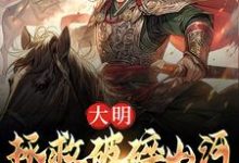 韩烈小说完结版在线阅读，大明：拯救破碎山河，我势在必行！免费看-优选文学