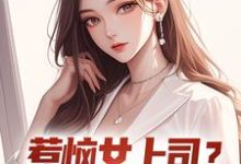 张文定小说叫什么（惹恼女上司？我有妙计摆平免费阅读）-优选文学