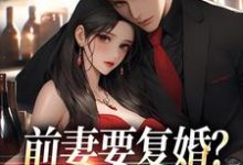 免费看前妻要复婚？我让她跪着滚小说的网站有哪些？-优选文学