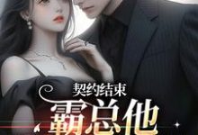 完结版《契约结束，霸总他跟我玩套路》在线免费阅读-优选文学