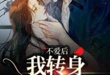 不爱后，我转身缠上霸总小说在线无弹窗免费阅读-优选文学