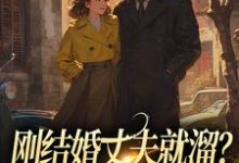 无删减版《刚结婚丈夫就溜？姐真不吃人！》全章节阅读-优选文学