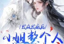 《发疯发癫后，小姐整个人都美好了》小说精彩章节免费试读，沈昭宁宋文轩小说在线阅读-优选文学