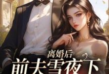 无删减版《离婚后，前夫雪夜下跪求回头》章节目录在线阅读-优选文学