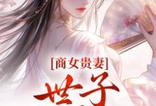 小说《商女贵妻：世子，来算账》在线阅读-优选文学