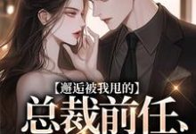 无删减版《邂逅被我甩的总裁前任，他又爱了！》在线阅读-优选文学