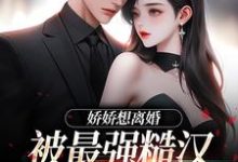 无删减版《娇娇想离婚，被最强糙汉拦腰宠》免费阅读-优选文学