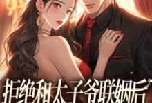 无删减版《拒绝和太子爷联姻后，被霸总求婚！》全章节阅读-优选文学