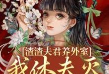 无删减版《渣渣夫君养外室，我休夫灭妾另高嫁》全章节阅读-优选文学