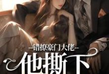 无删减版《错撩豪门大佬，他撕下禁欲伪装》全章节阅读-优选文学