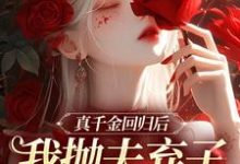 真千金回归后，我抛夫弃子独自美丽最新章节，真千金回归后，我抛夫弃子独自美丽在线阅读-优选文学