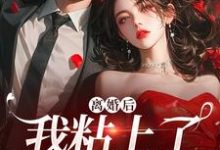 小说《离婚后，我粘上了那位大佬》免费阅读-优选文学