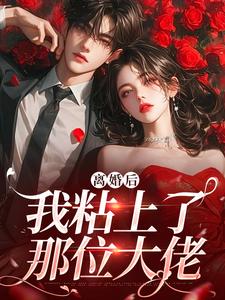 《离婚后，我粘上了那位大佬》全集免费在线阅读（陆骁舒愿）