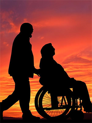 晚秋心上过，故人难回首小说全文阅读需要付费吗？寻找免费资源