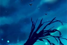 陆沉舟苏念小说完结版在线阅读，风停雾散春山明免费看-优选文学