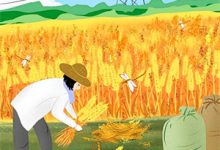 黎若谢泠小说死遁后,被阴郁病娇关小黑屋了章节免费阅读-优选文学