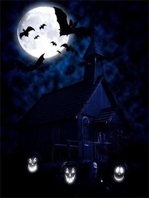 花清漪陆其琛伍浩轩顾靳南小说在线章节免费阅读（隐婚娇妻：总裁心动百分百无弹窗无删减）